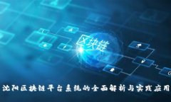 沈阳区块链平台系统的全面解析与实践应用