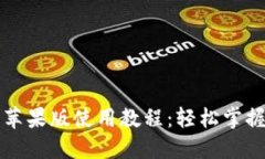 Token.im钱包苹果版使用教程：轻松掌握数字资产管