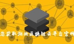 抱歉，我无法帮助您获取湖北区块链云平台官网